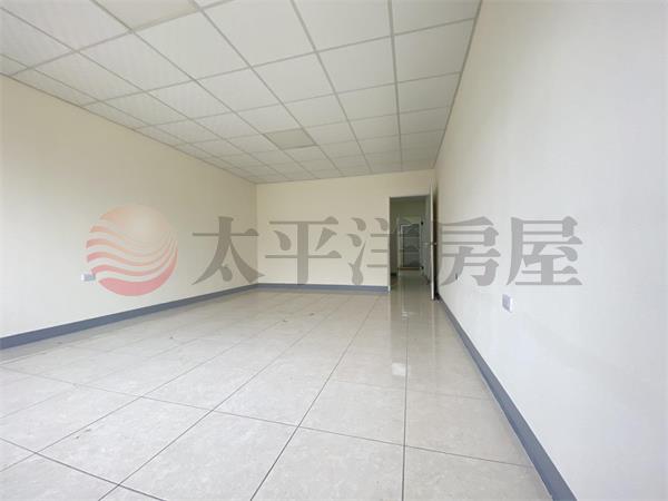 埤頭低總價美透天