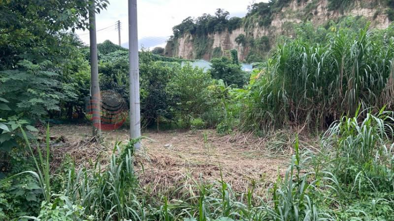 員林員草路旁5.4分農牧用地