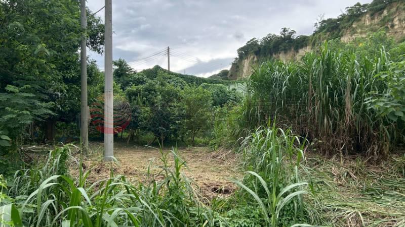 員林員草路旁5.4分農牧用地