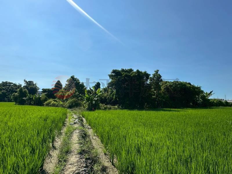 員林近員埔路大面寬農地