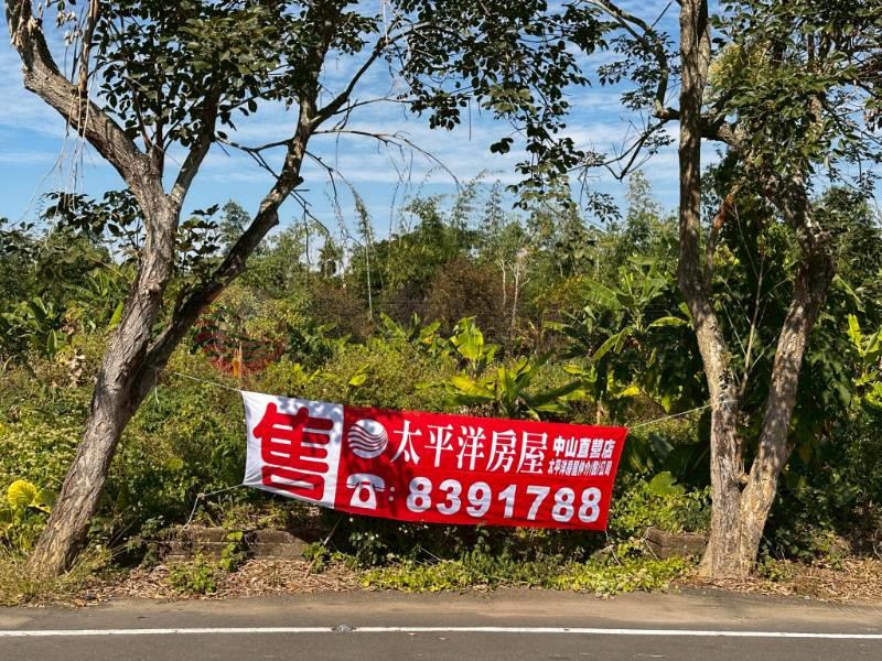 林內鄉成功國小旁美田