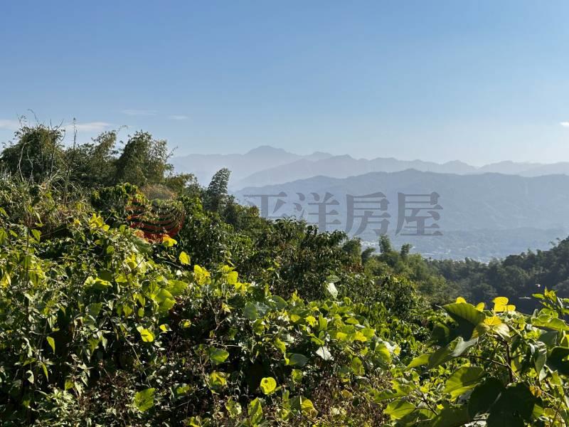 林內鄉成功國小旁美田