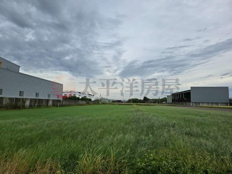 秀水馬鳴綠境農地